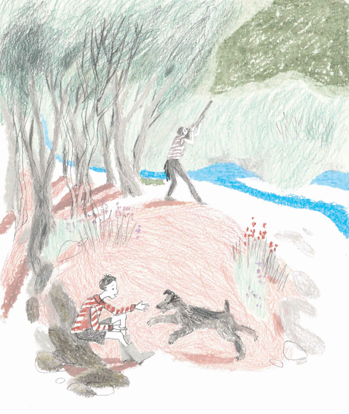 Дж. Даррелл "Моя семья и другие звери"