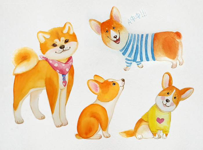 рыжие собаки