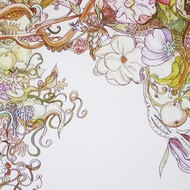 Графика на стене2