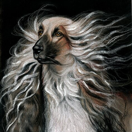 Лакшери чика