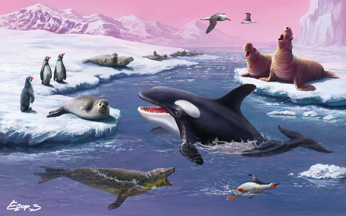 Антарктида