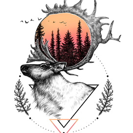 Северный олень