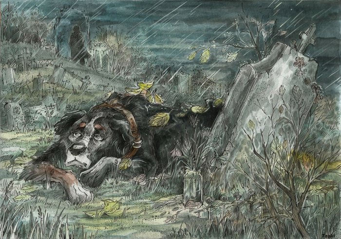 Собачья судьба