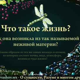 Что такое жизнь?