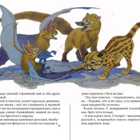 коати и жагуатирика 14