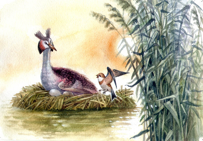 Бианки. Лесные домики