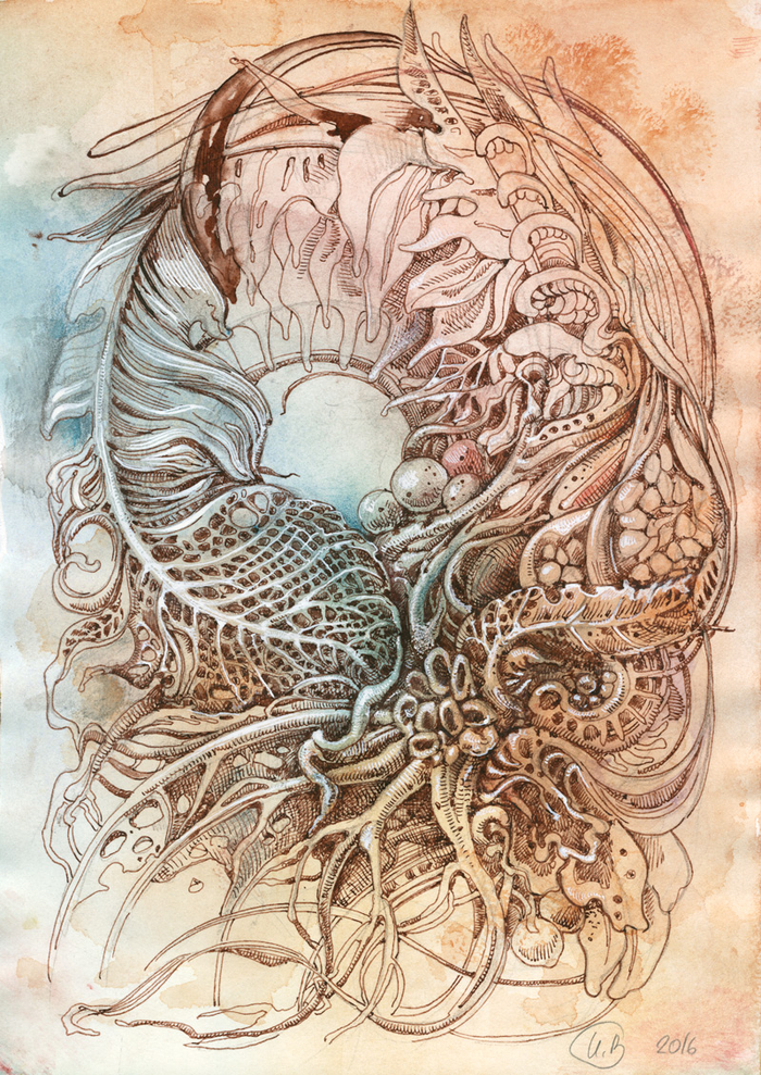 Осенняя трава