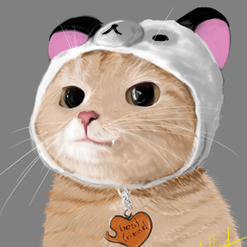 Лучший друг