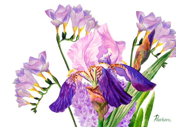 Букет с ирисом