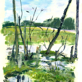 Болотный пейзаж №1