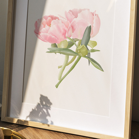 Акварельные пионы