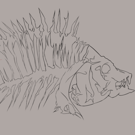 Скелет рыбы