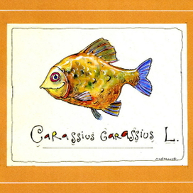 Карась речной