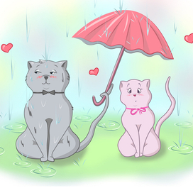 Влюбленные коты под дождем