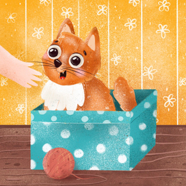 Котик в коробке