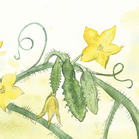  Николай Голь. Жизнь замечательных растений 