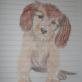 просто собачка