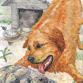 Иллюстрация к рассказу "Черепаха"