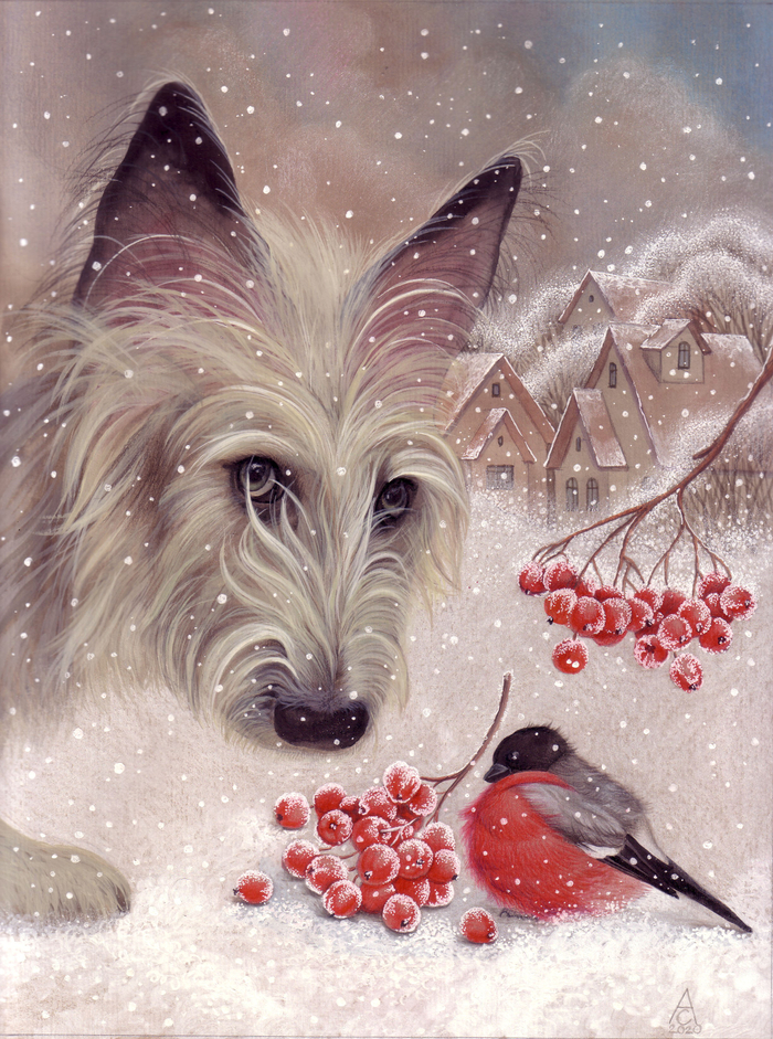 Рябина на снегу