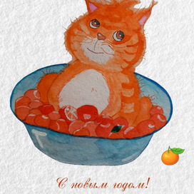 Открытка новогодняя "Кот в мандаринах" 