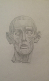 Мясная голова