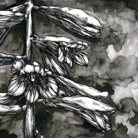 Лилия Глена