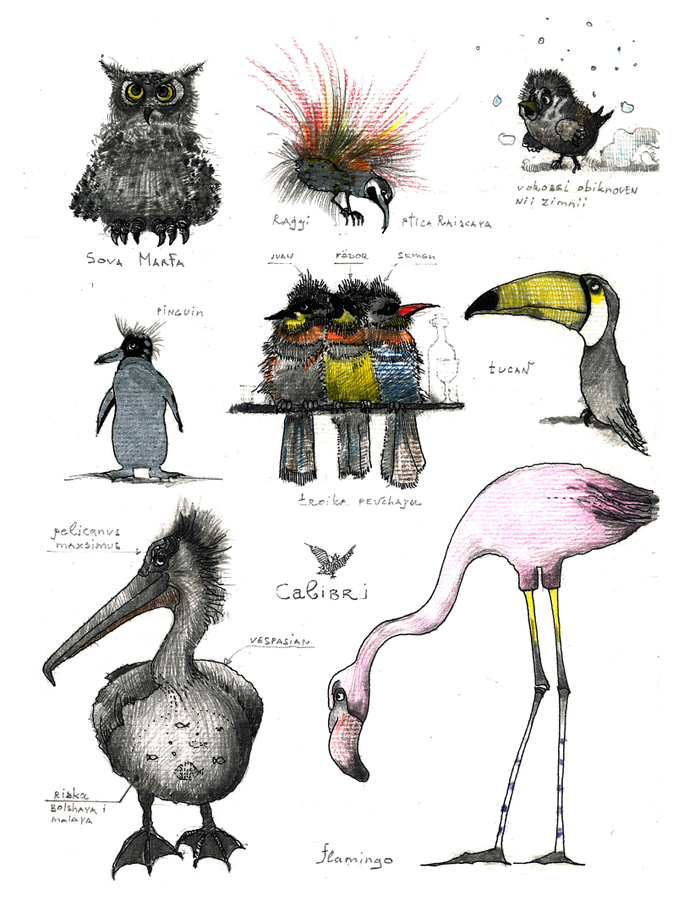 Записки охотника.Познавательные и не очень.