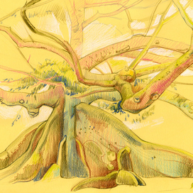 Весенние дерево