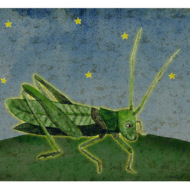 кухнечик и большая медведица