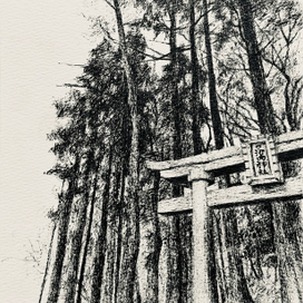 Из серии работ JAPAN 