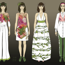 Коллекция 2017 