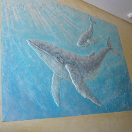 Киты вид со стороны