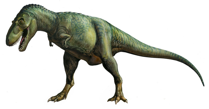Персонажи Gorgosaurus (динозавры)