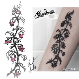 Эскиз тату - Белладонна