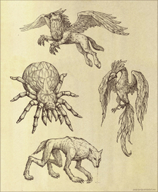 Еще волшебные твари