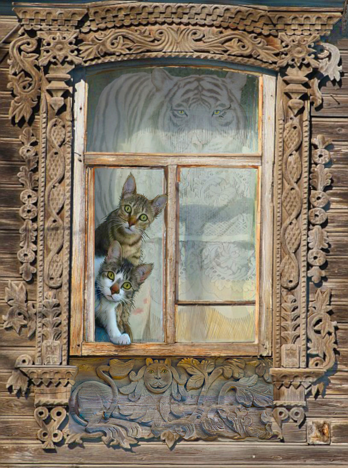 СИДЯТ КОШКИ НА ОКОШКЕ...