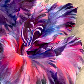 "Гладиолус"