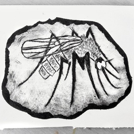 Mosquito. Intaglio.