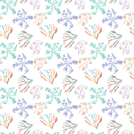 Птички и кошечки