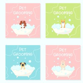 Флаеры для груминга.