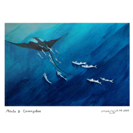 Mānta & Carangidae
