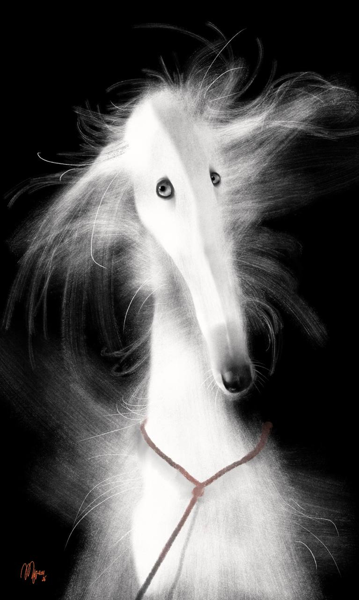 Без названия