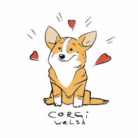 corgi