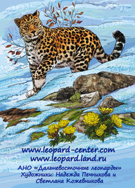 Обложка ч 2. Дальневосточные леопарды.Леопард Лорд.