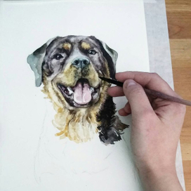 портрет собаки для друзей 