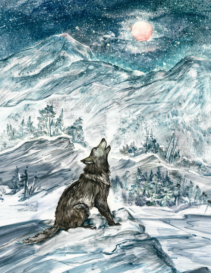 "Бродяги Севера"