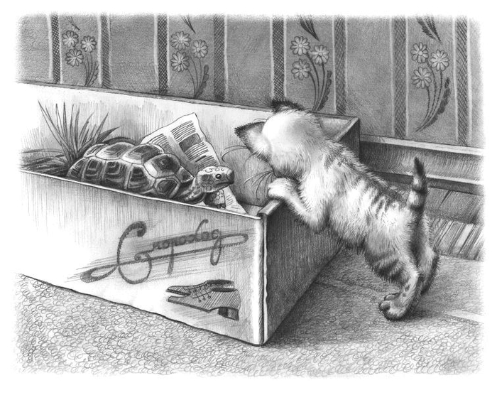 Кто в коробке живет??