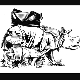Rhinos 2