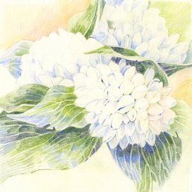 Подснежники