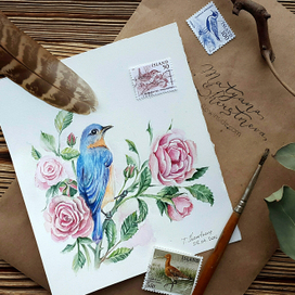 Садовые розы